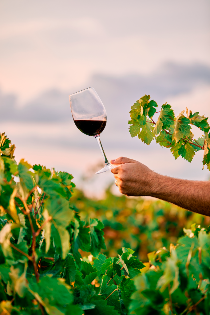 Videomarketing del sector enológico con una persona levantando una copa de vino en un viñedo 